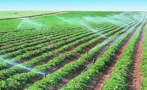 我要看操宋小会的逼视频农田高 效节水灌溉